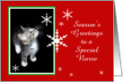 Kitten and Snowflakes, Nurse card