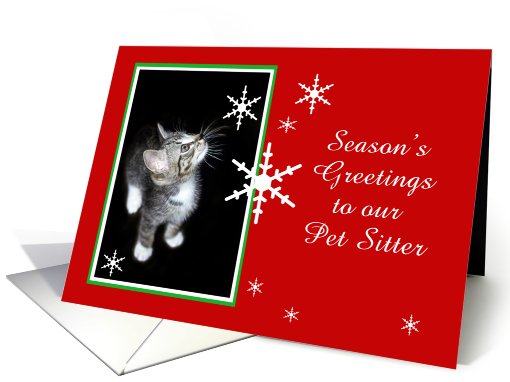 Kitten and Snowflakes, Pet Sitter card (494044)