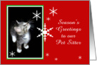 Kitten and Snowflakes, Pet Sitter card