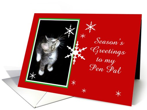 Kitten and Snowflakes, Pen Pal card (494045)