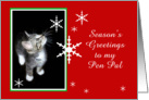 Kitten and Snowflakes, Pen Pal card