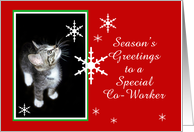Kitten and Snowflakes, Co-Worker card