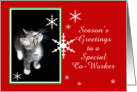 Kitten and Snowflakes, Co-Worker card