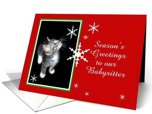 Kitten and Snowflakes, Babysitter card (494047)