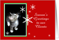 Kitten and Snowflakes, Clients card