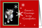 Kitten and Snowflakes, grandfather card