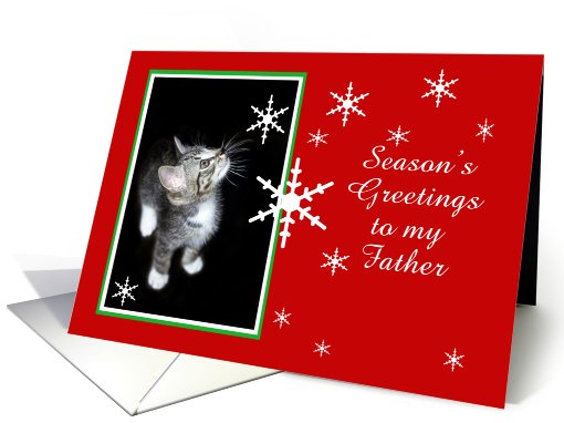 Kitten and Snowflakes, Father card (494051)