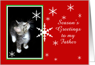 Kitten and Snowflakes, Father card