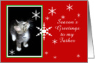 Kitten and Snowflakes, Father card