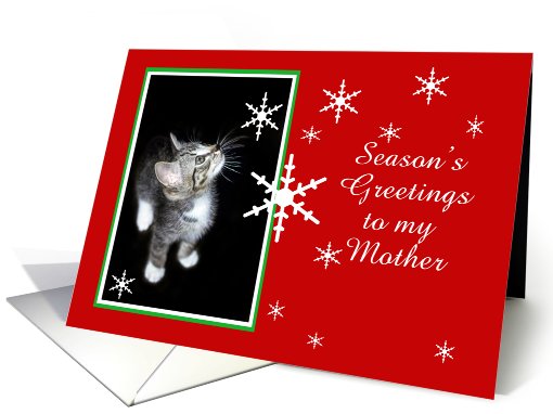 Kitten and Snowflakes, Mother card (494052)