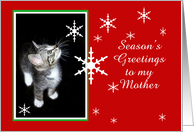 Kitten and Snowflakes, Mother card