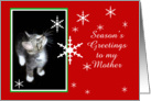 Kitten and Snowflakes, Mother card