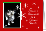 Kitten and Snowflakes, Uncle card