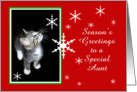 Kitten and Snowflakes, Aunt card