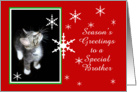 Kitten and Snowflakes, Brother card