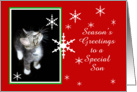 Kitten and Snowflakes, Son card