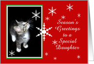 Kitten and Snowflakes, Daughter card