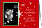 Kitten and Snowflakes, Daughter card