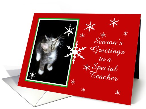 Kitten and Snowflakes, Teacher card (494059)