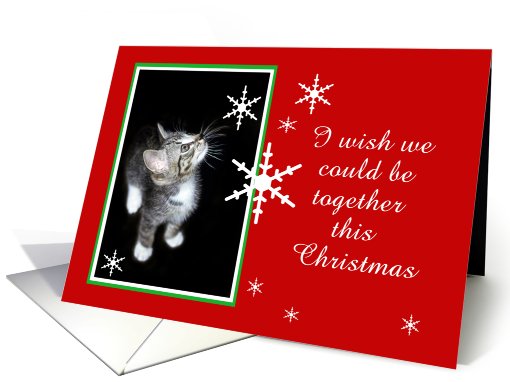 Kitten and Snowflakes, Missing You card (494170)