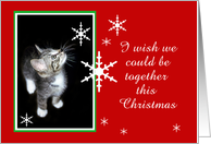 Kitten and Snowflakes, Missing You card