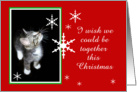 Kitten and Snowflakes, Missing You card
