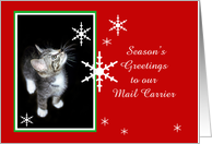 Kitten and Snowflakes, Mail Carrier card