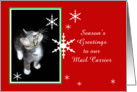 Kitten and Snowflakes, Mail Carrier card