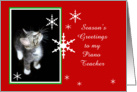 Kitten and Snowflakes, Piano Teacher card