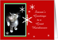 Kitten and Snowflakes, Hairdresser card