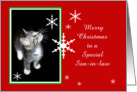 Kitten and Snowflakes, Son-in-law card
