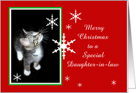 Kitten and Snowflakes, Daughter-in-law card