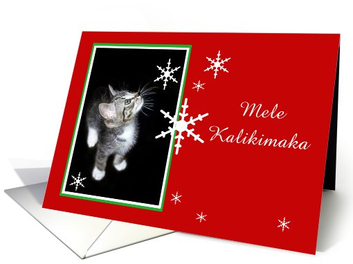 Kitten and Snowflakes, Mele Kalikimaka card (494178)