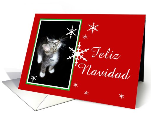 Kitten and Snowflakes, Feliz Navidad card (494180)