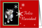 Kitten and Snowflakes, Feliz Navidad card