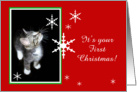 Kitten and Snowflakes, First Christmas card