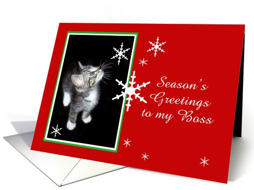 Kitten and Snowflakes, Boss card (494182)