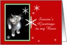 Kitten and Snowflakes, Boss card