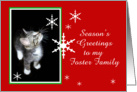 Kitten and Snowflakes, Foster Family card