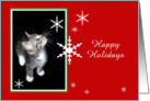 Kitten and Snowflakes, Happy Holidays card
