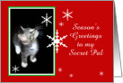 Kitten and Snowflakes, Secret Pal card