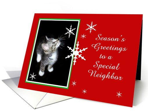 Kitten and Snowflakes, Neighbor card (494196)