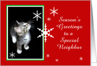 Kitten and Snowflakes, Neighbor card