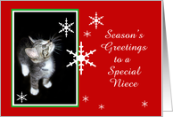 Kitten and Snowflakes, Niece card