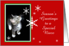 Kitten and Snowflakes, Niece card