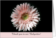 Pink Daisy, Thanks...