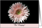 Pink Daisy, Be Happy card