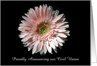 Pink Daisy, Civil Union card