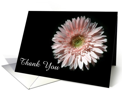 Pink Daisy, Thank You card (498288)