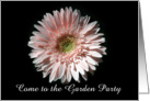 Pink Daisy, Garden Party Invite card